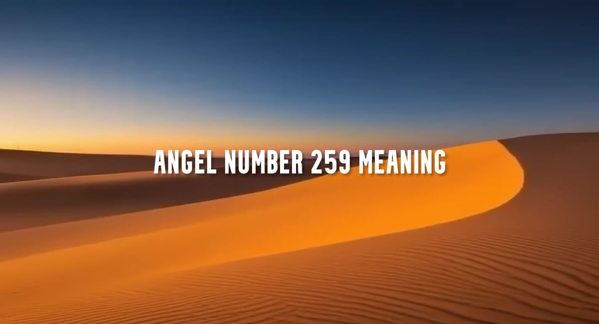 Angel Number 259 meaning