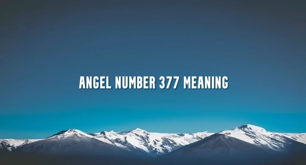 Angel Number 377 meaning