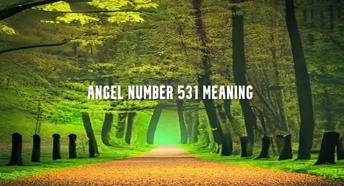 Angel Number 531 meaning