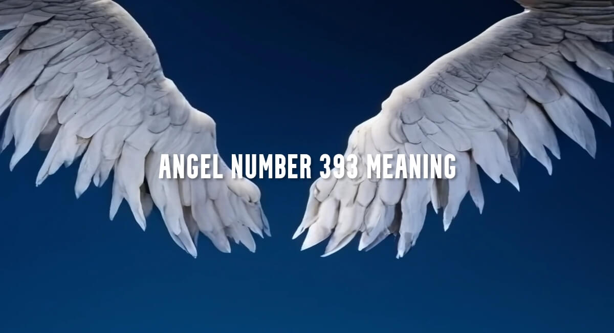 Angel Number 393 meaning