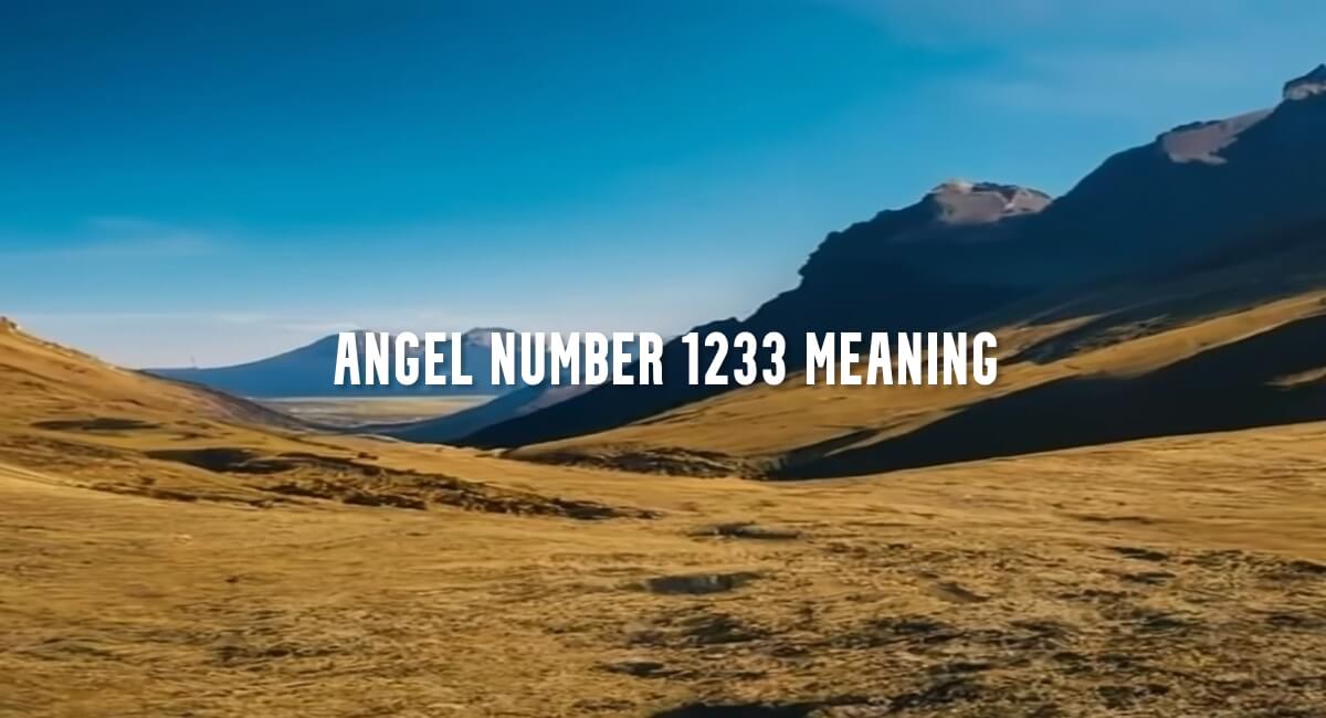 Angel Number 1233 meaning