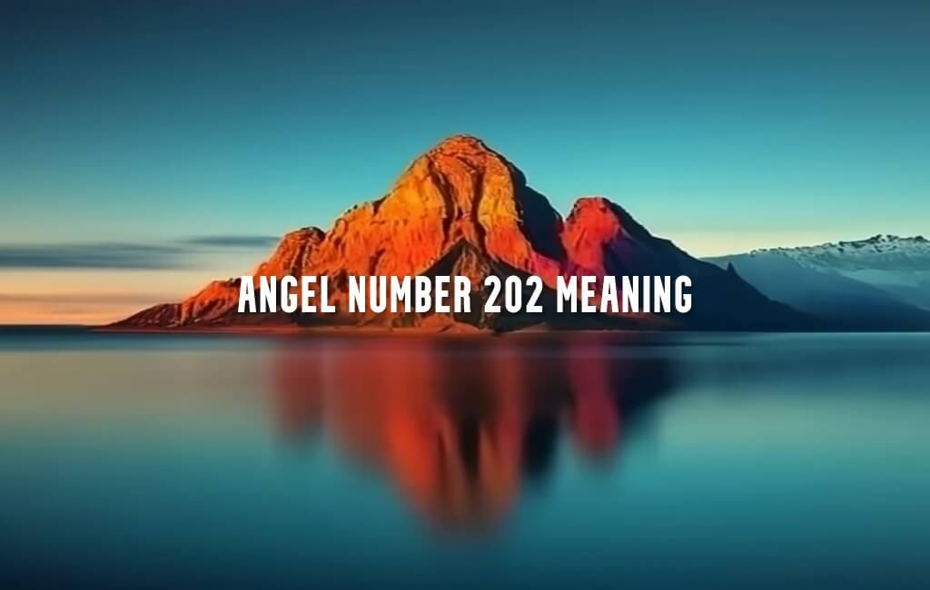 Angel Number 202