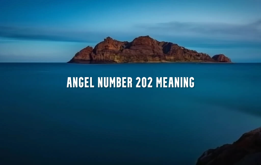 Angel Number 202 meaning