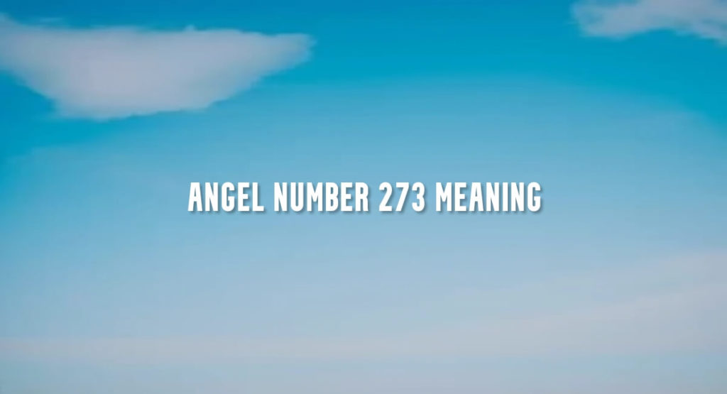 Angel Number 273