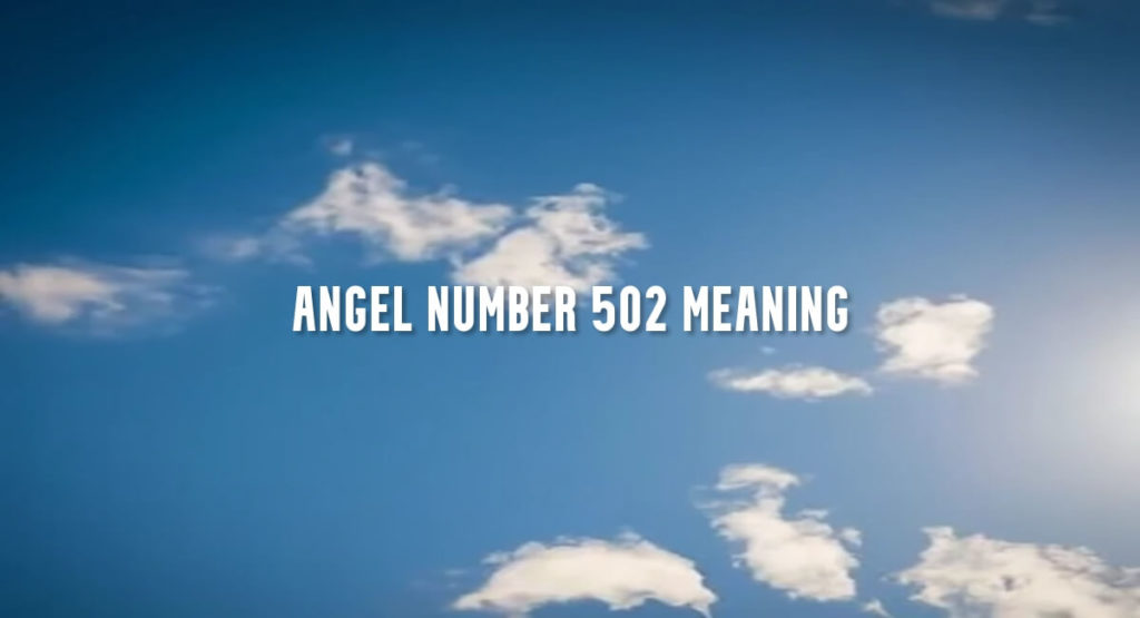 Angel Number 502