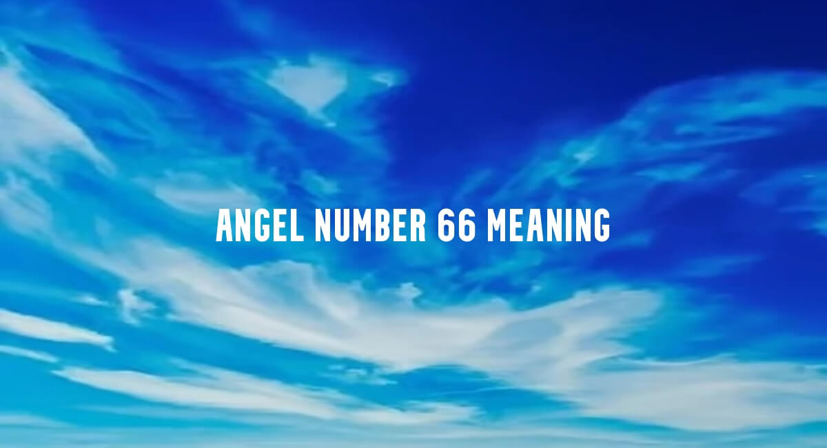 Angel Number 66