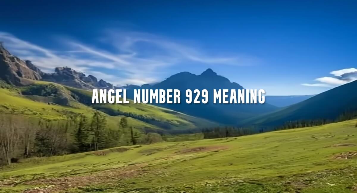 Angel Number 929 meaning